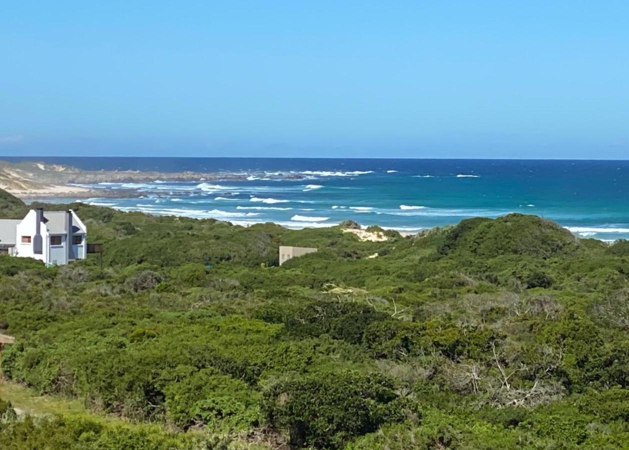 فيلا A Real Gem In Cape St Francis كيب سانت فرانسيس المظهر الخارجي الصورة